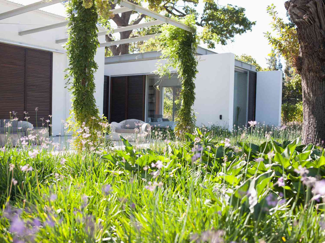 Reasons to Consider a Low Maintenance Tapestry Lawn