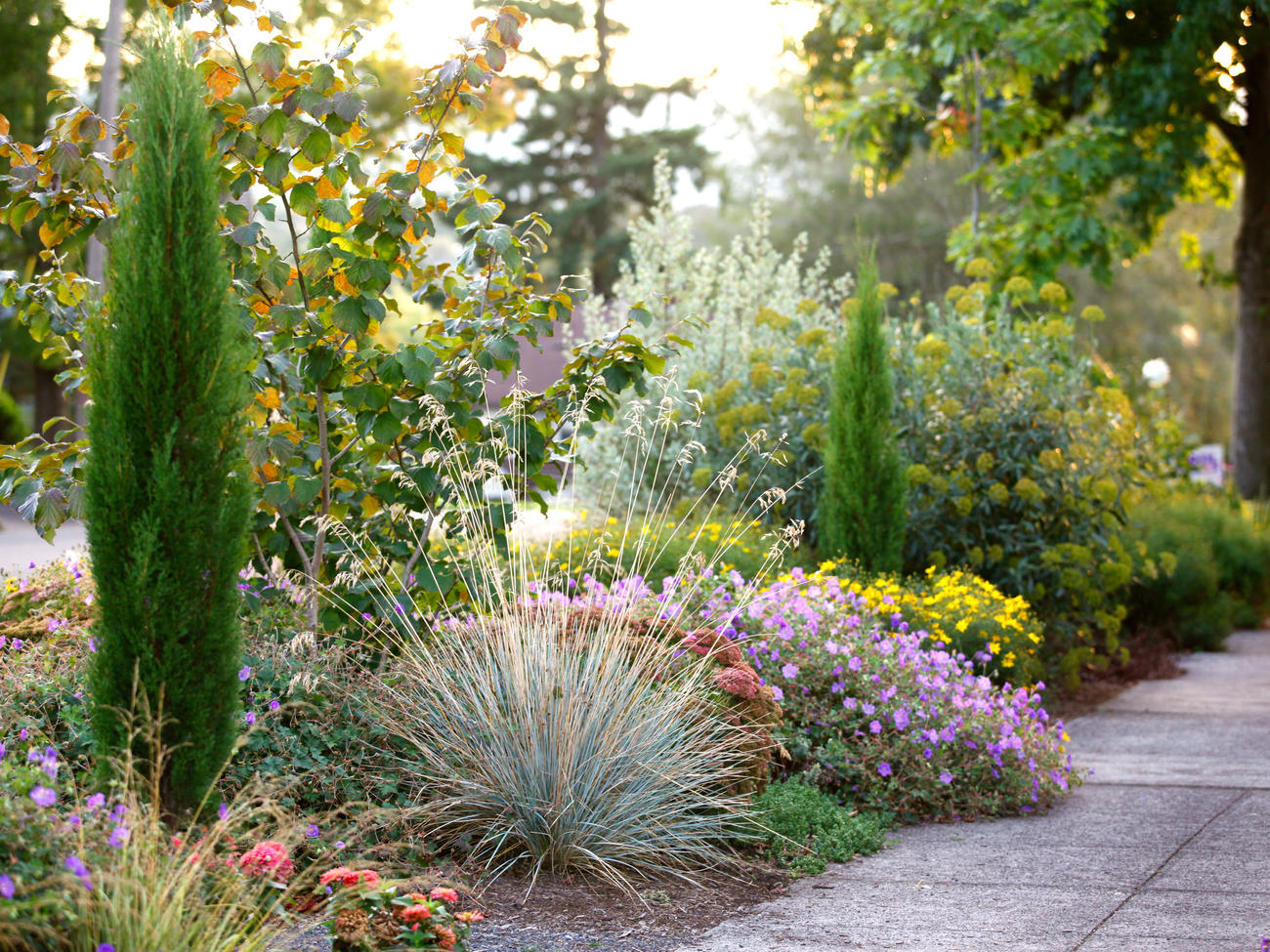 Hellstrip Garden